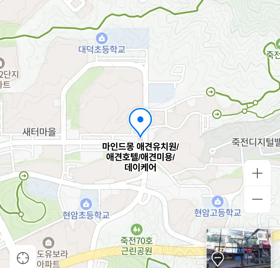 마인드몽 애견유치원/애견호텔/애견미용/데이케어