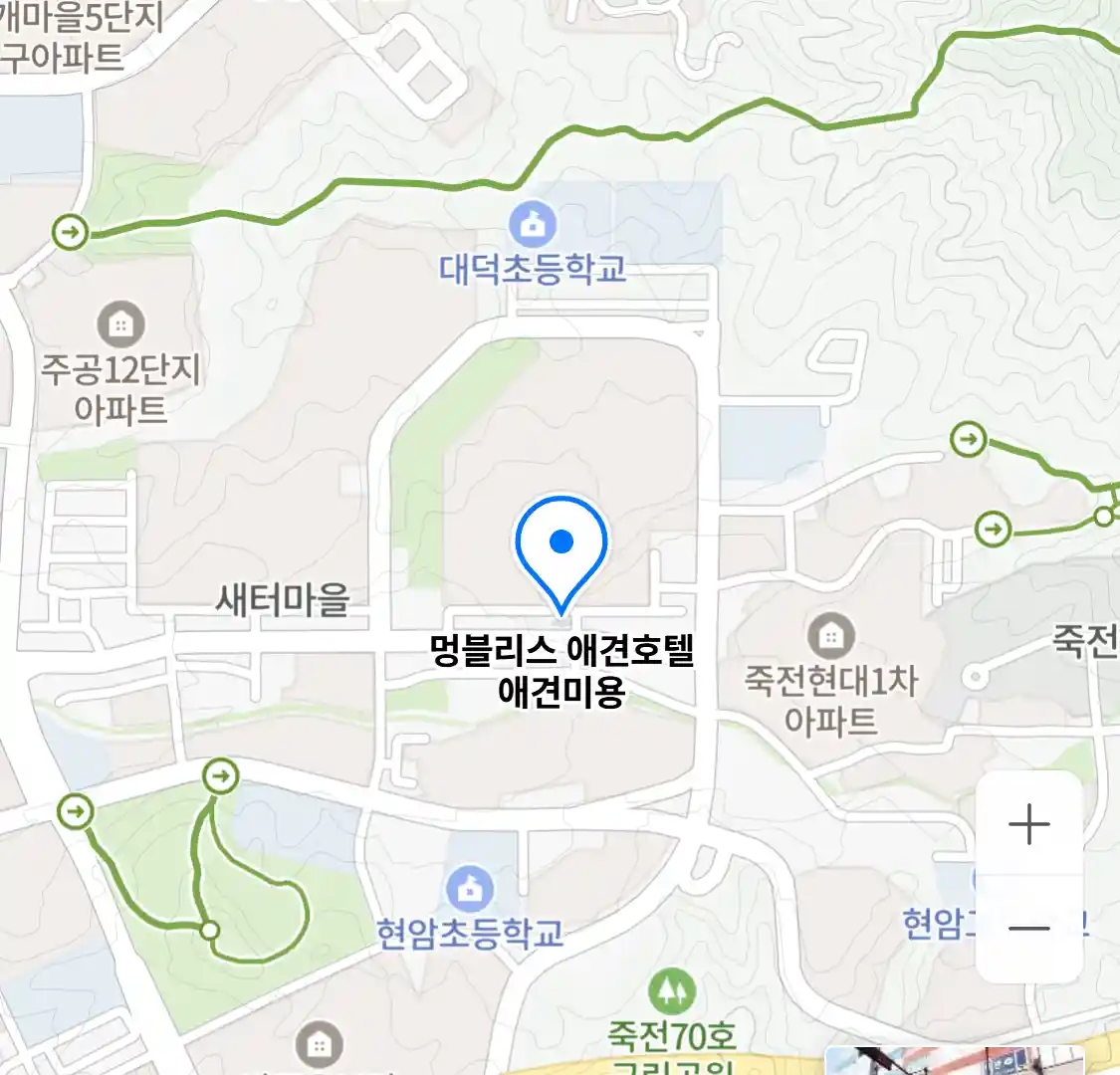 멍블리스 애견호텔 애견미용