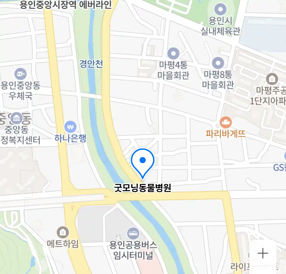 굿모닝동물병원