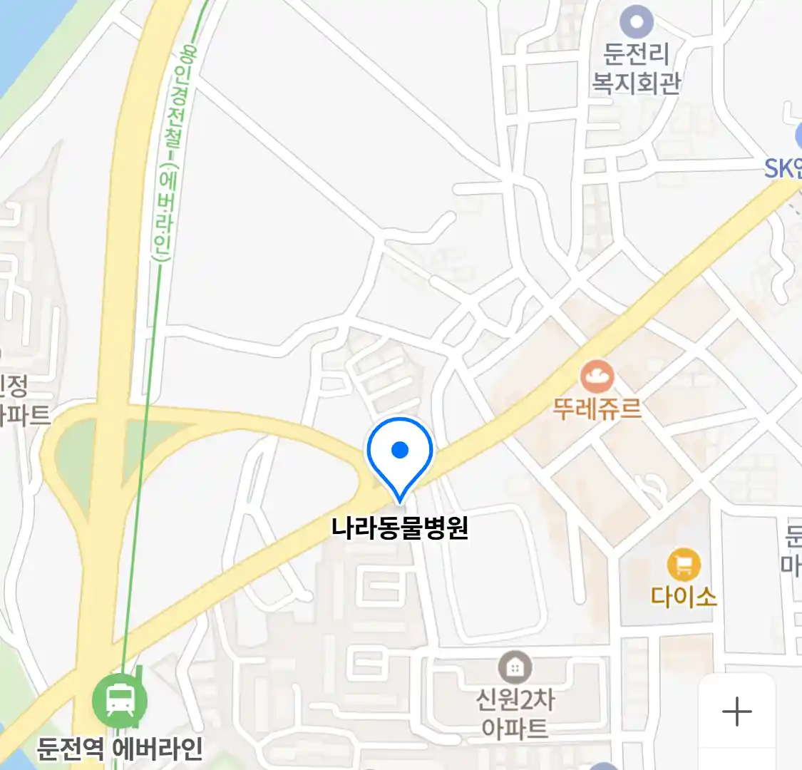 나라동물병원
