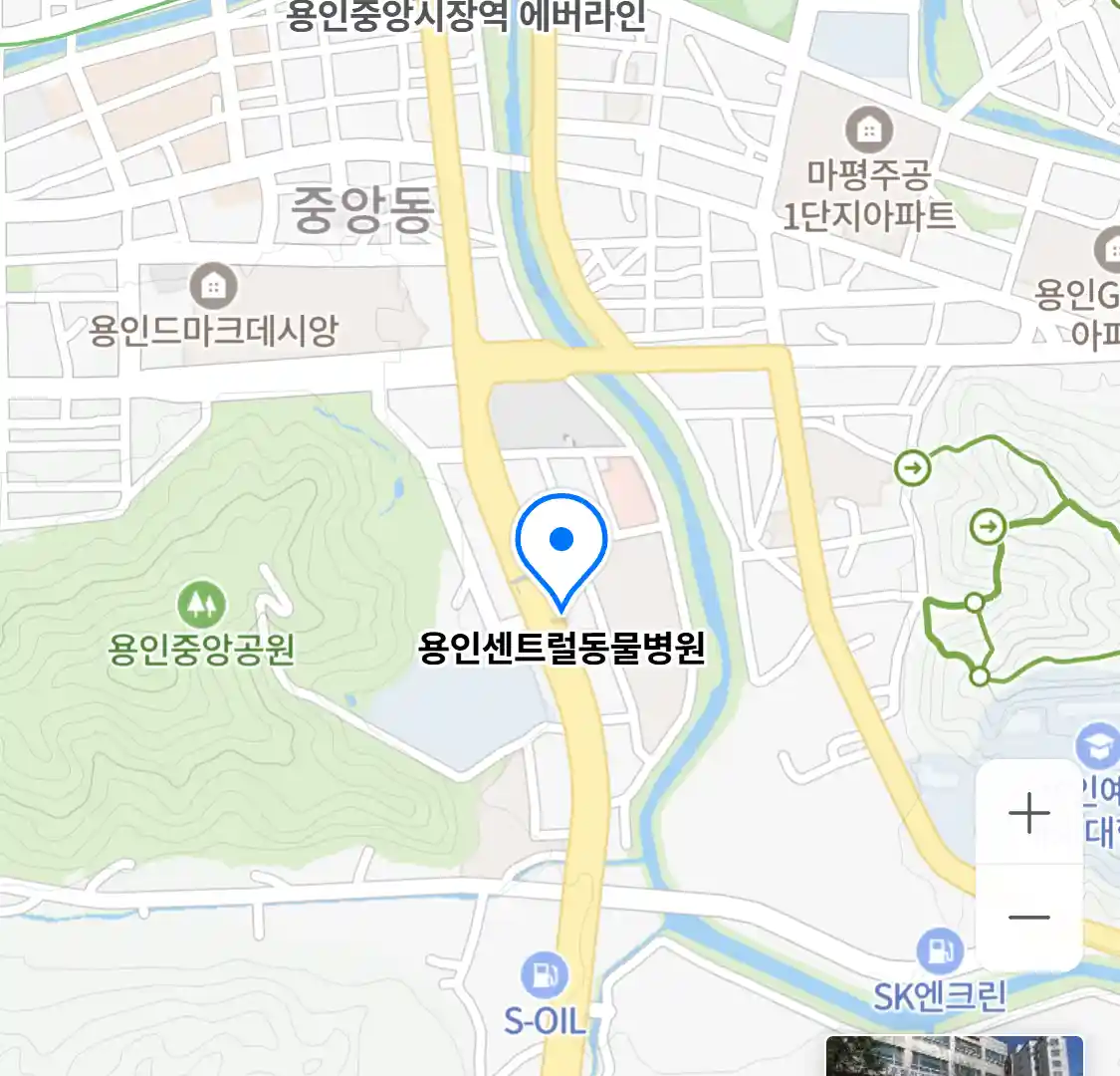 용인센트럴동물병원