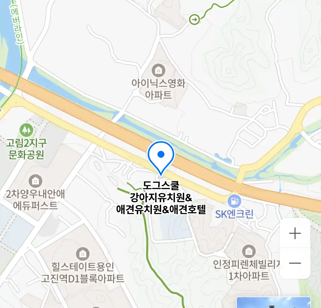 도그스쿨 강아지유치원&애견유치원&애견호텔