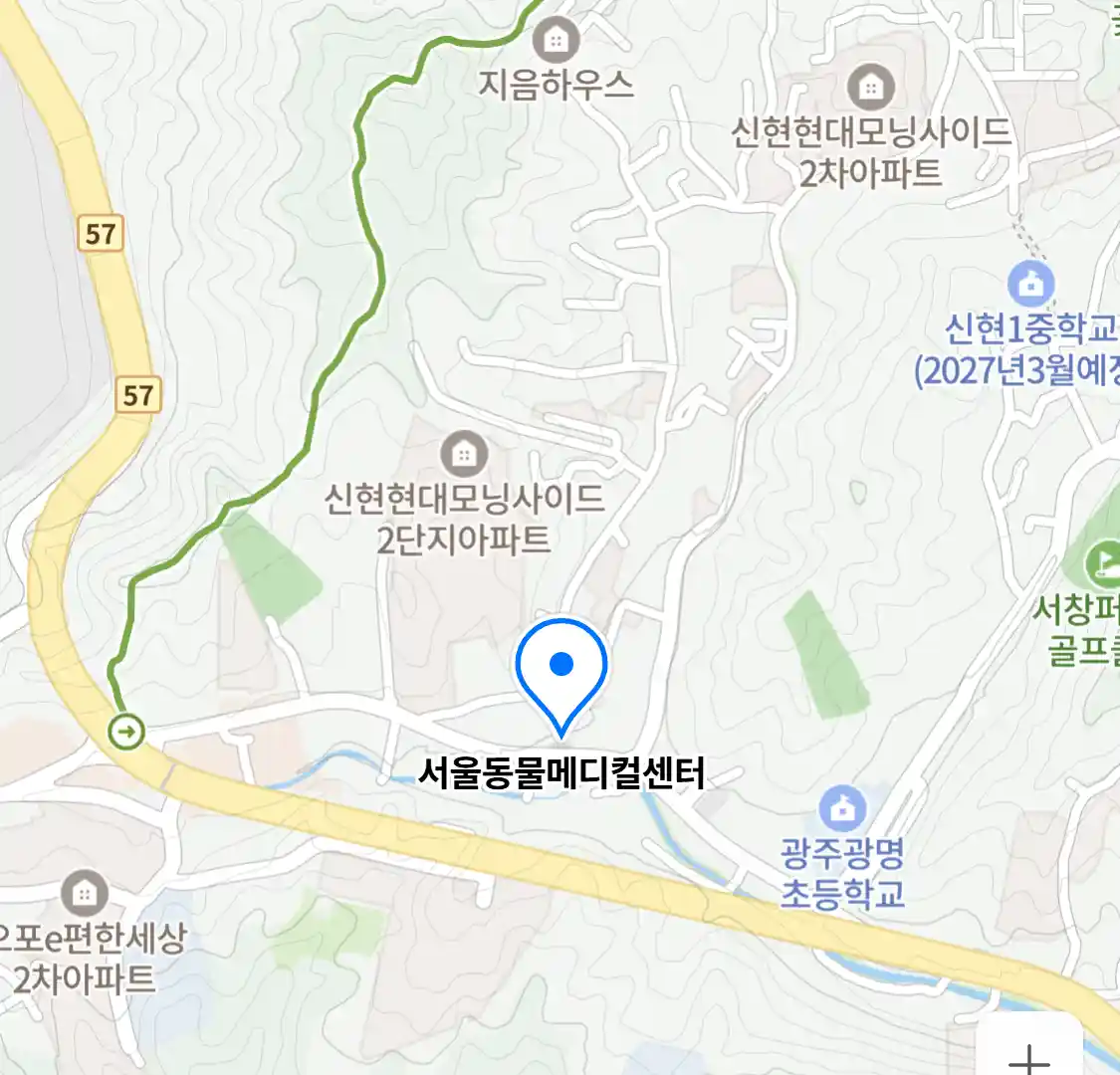 서울동물메디컬센터
