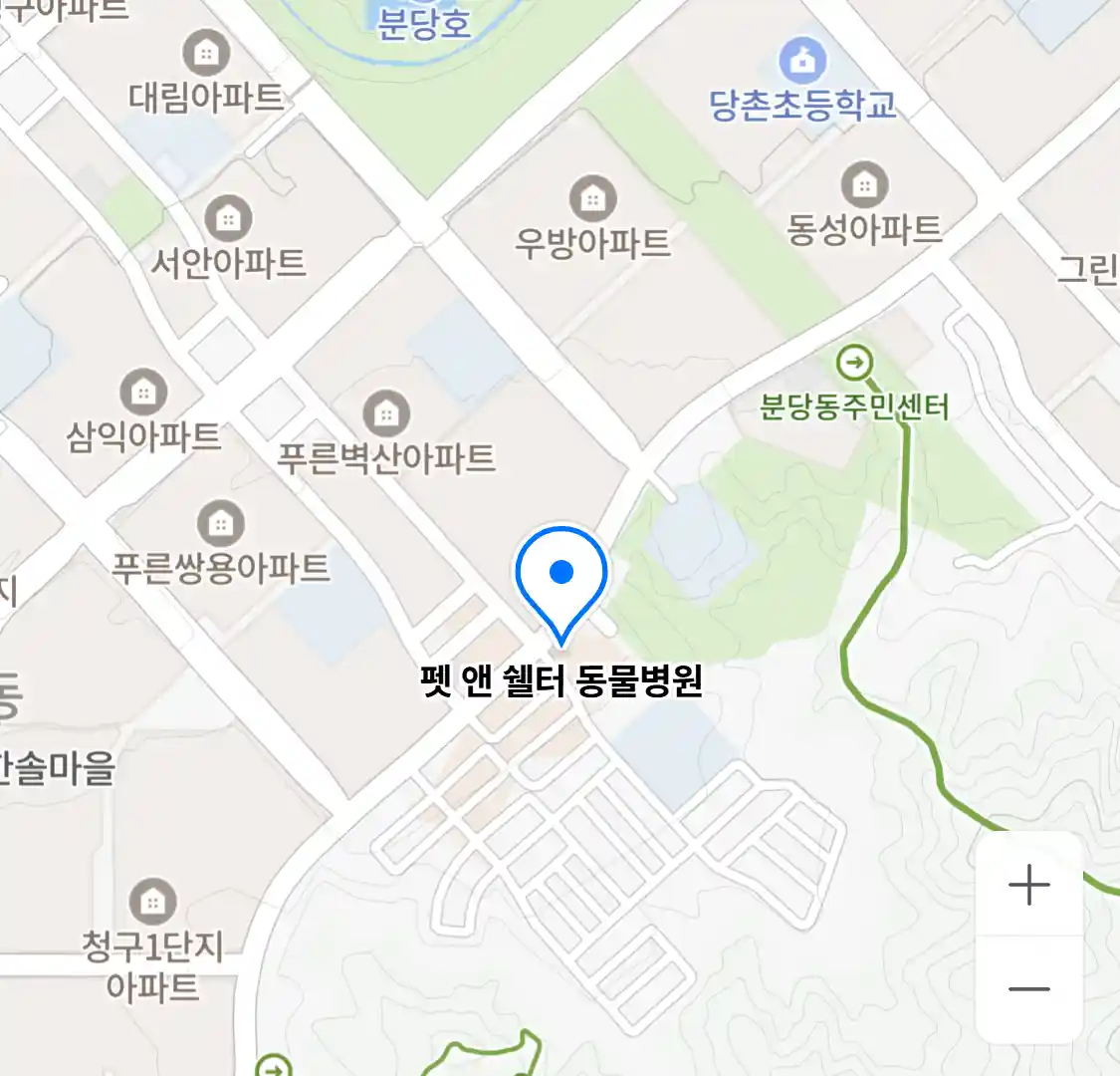펫 앤 쉘터 동물병원