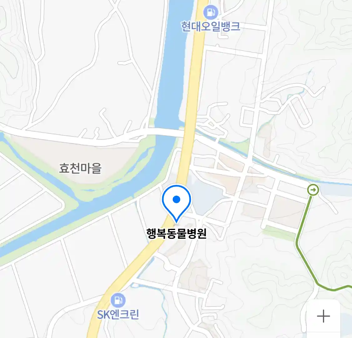 행복동물병원