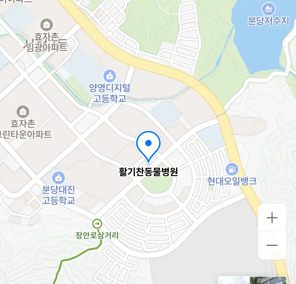 활기찬동물병원