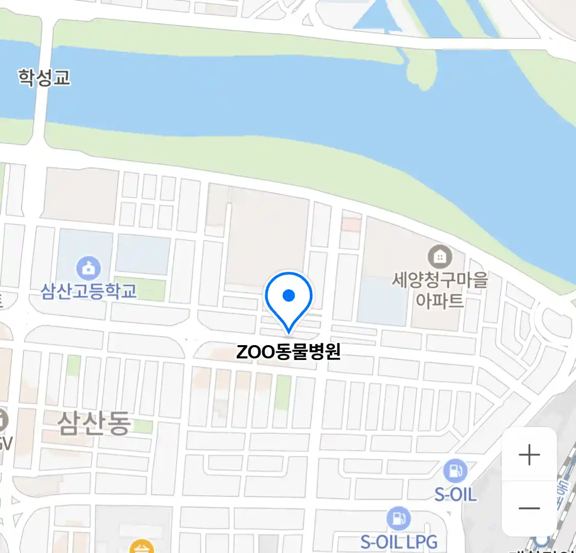 ZOO동물병원