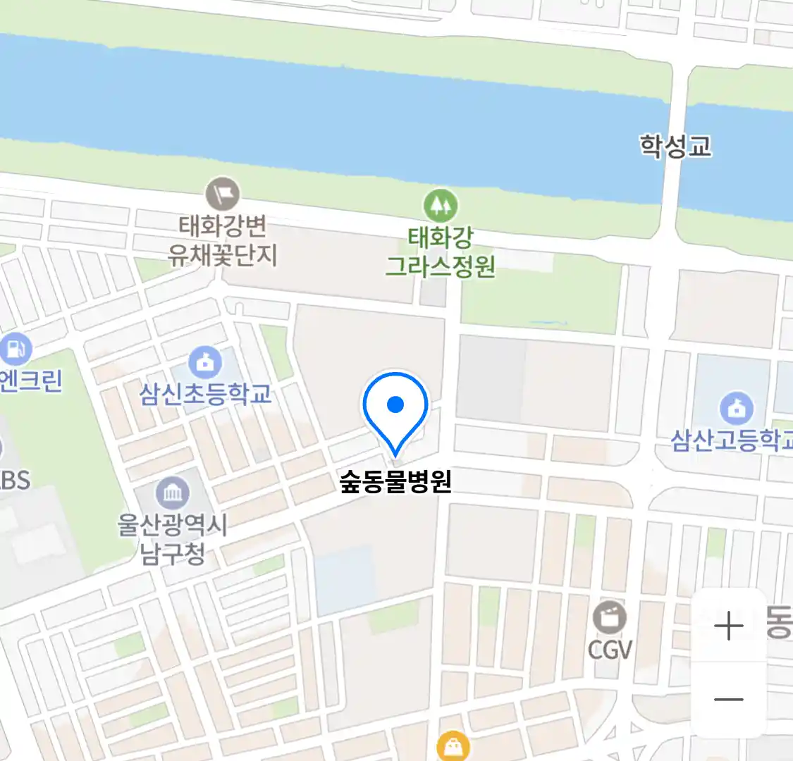 숲동물병원
