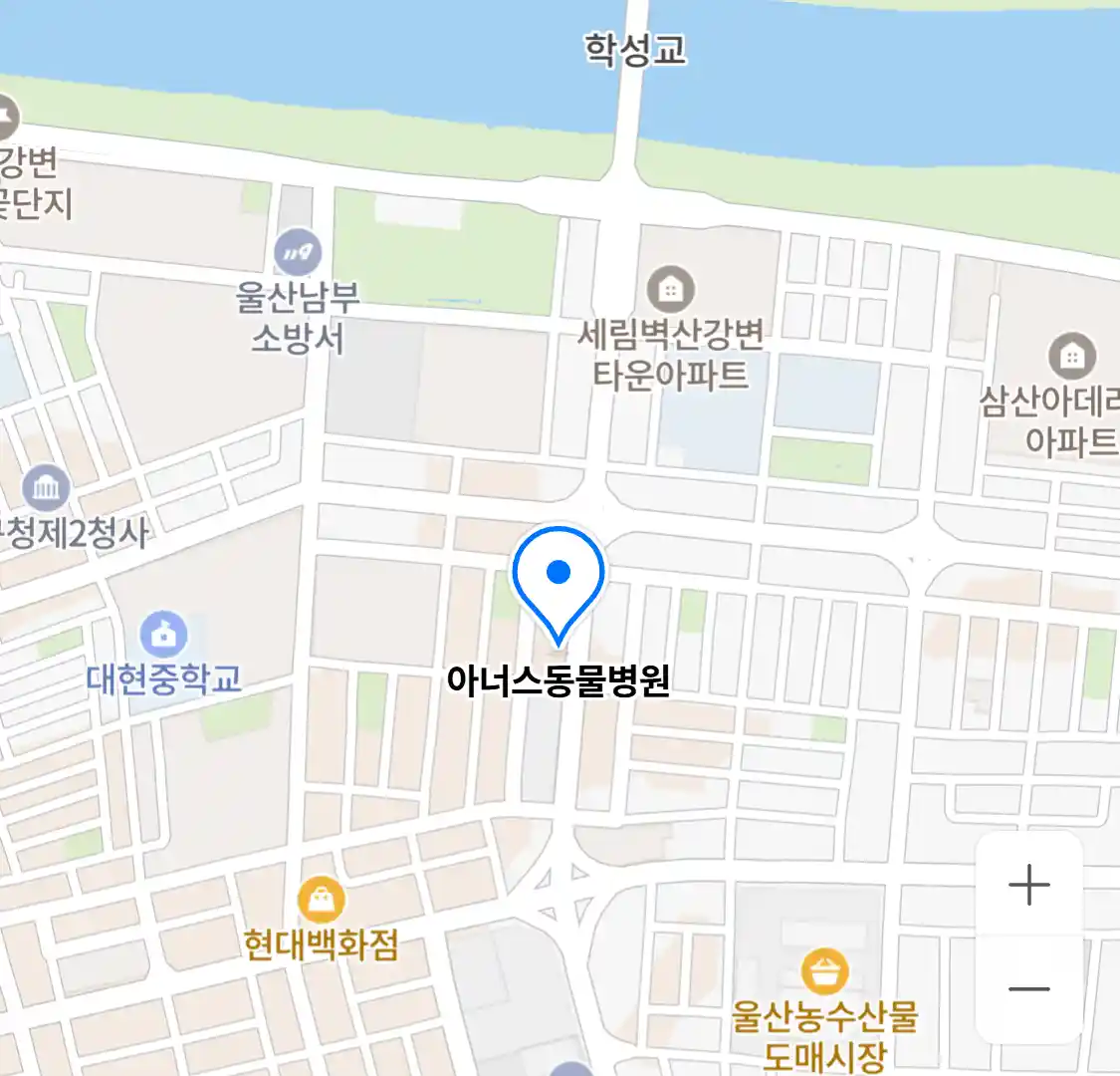 아너스동물병원