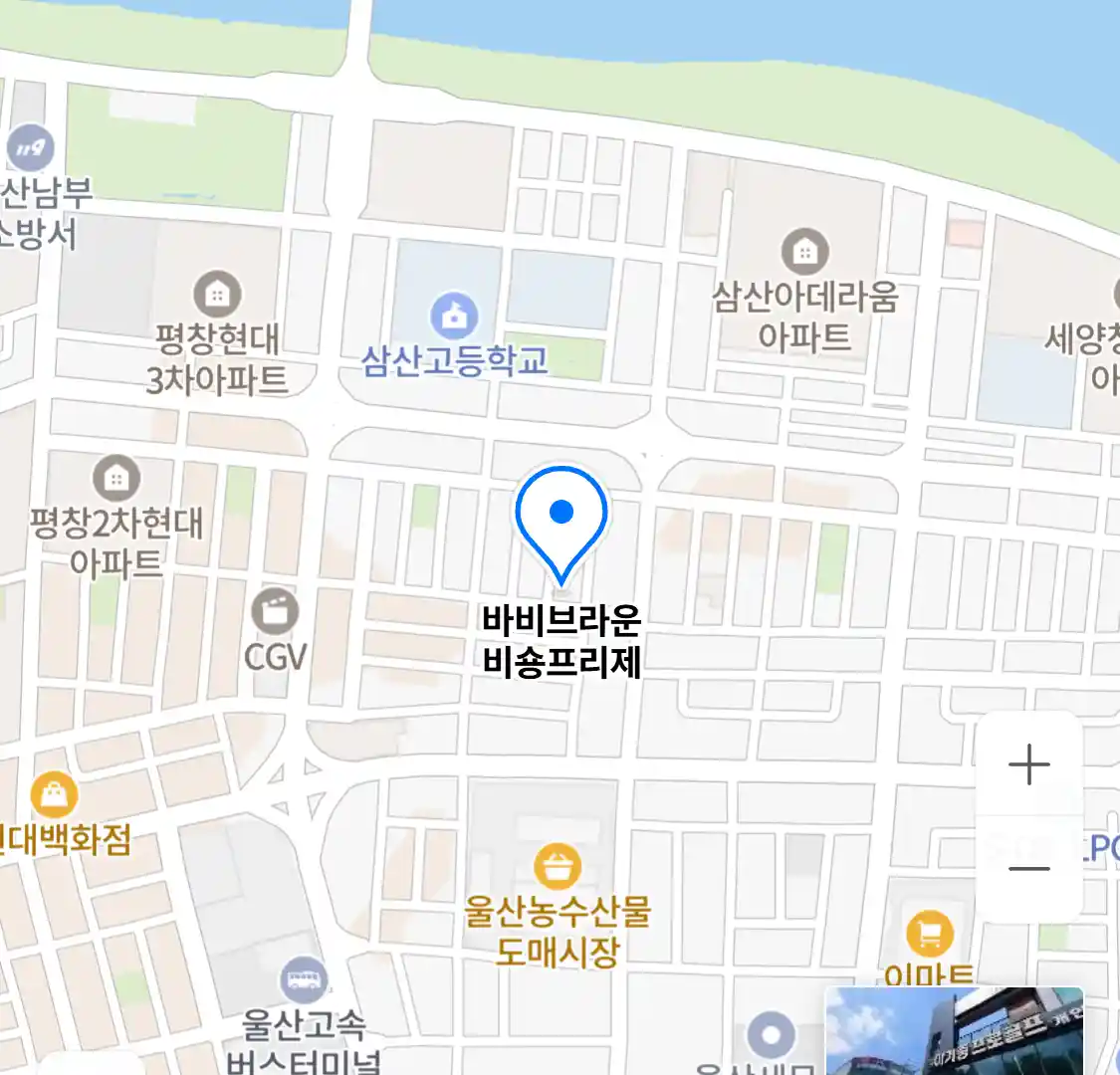바비브라운 비숑프리제