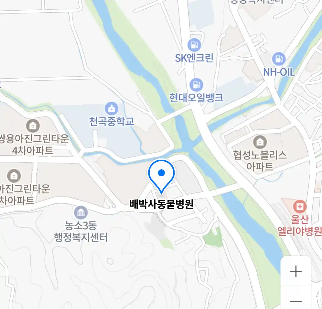 배박사동물병원