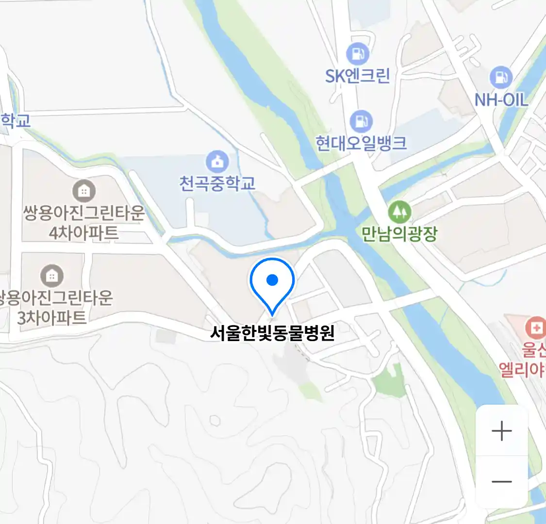 서울한빛동물병원