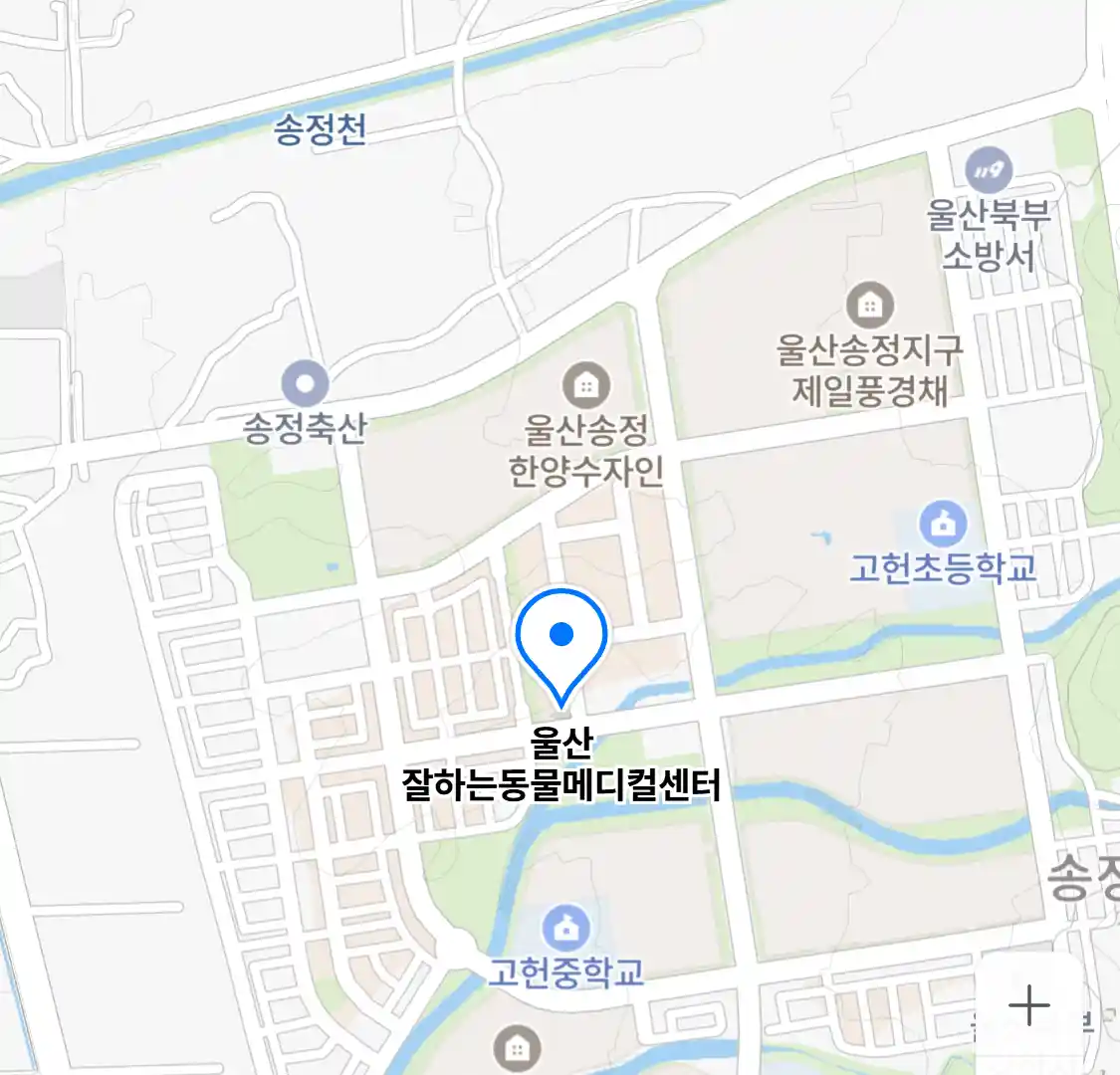 울산 잘하는동물메디컬센터
