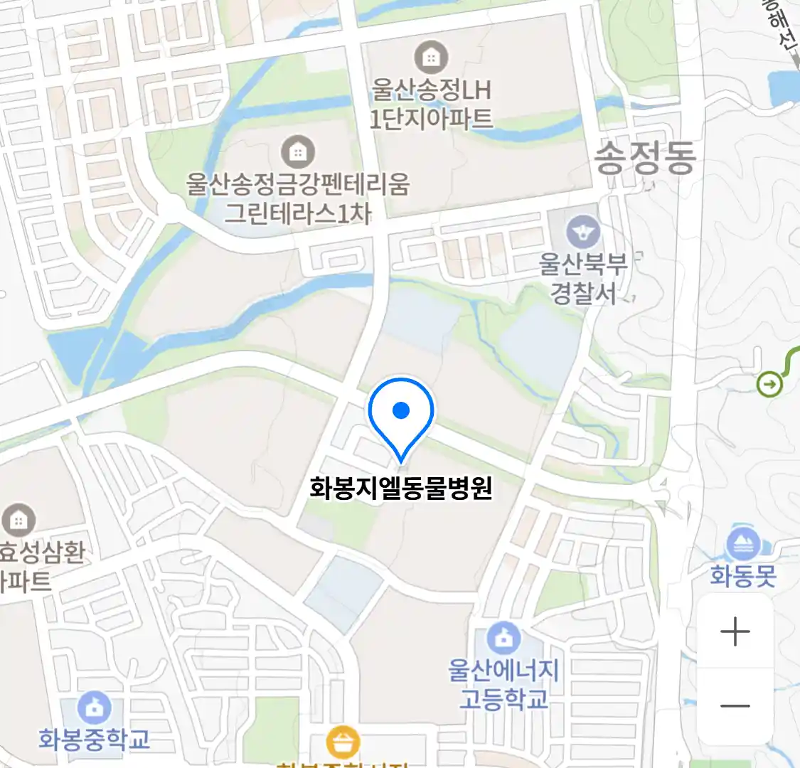 화봉지엘동물병원