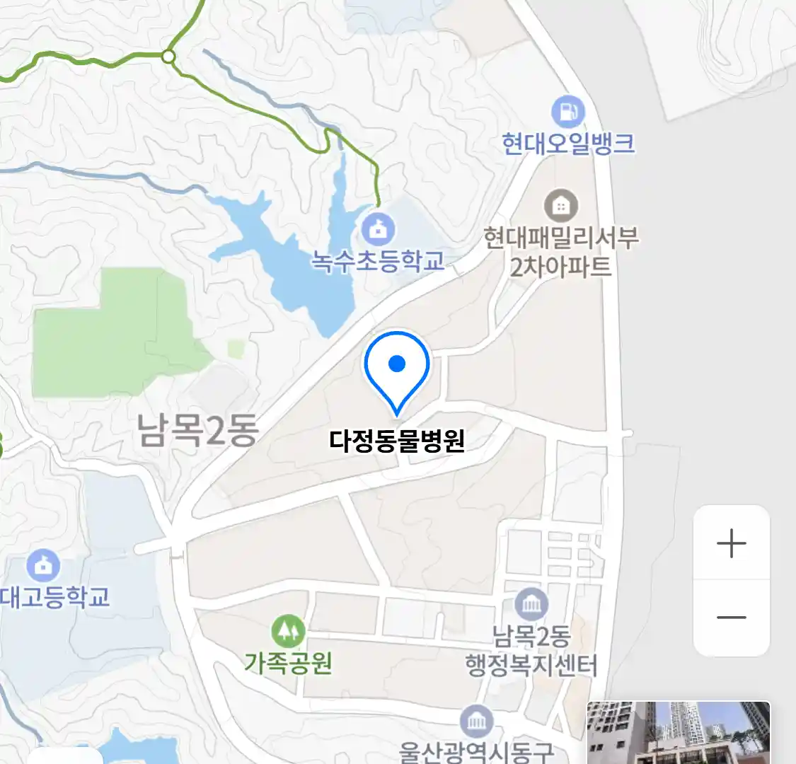 다정동물병원
