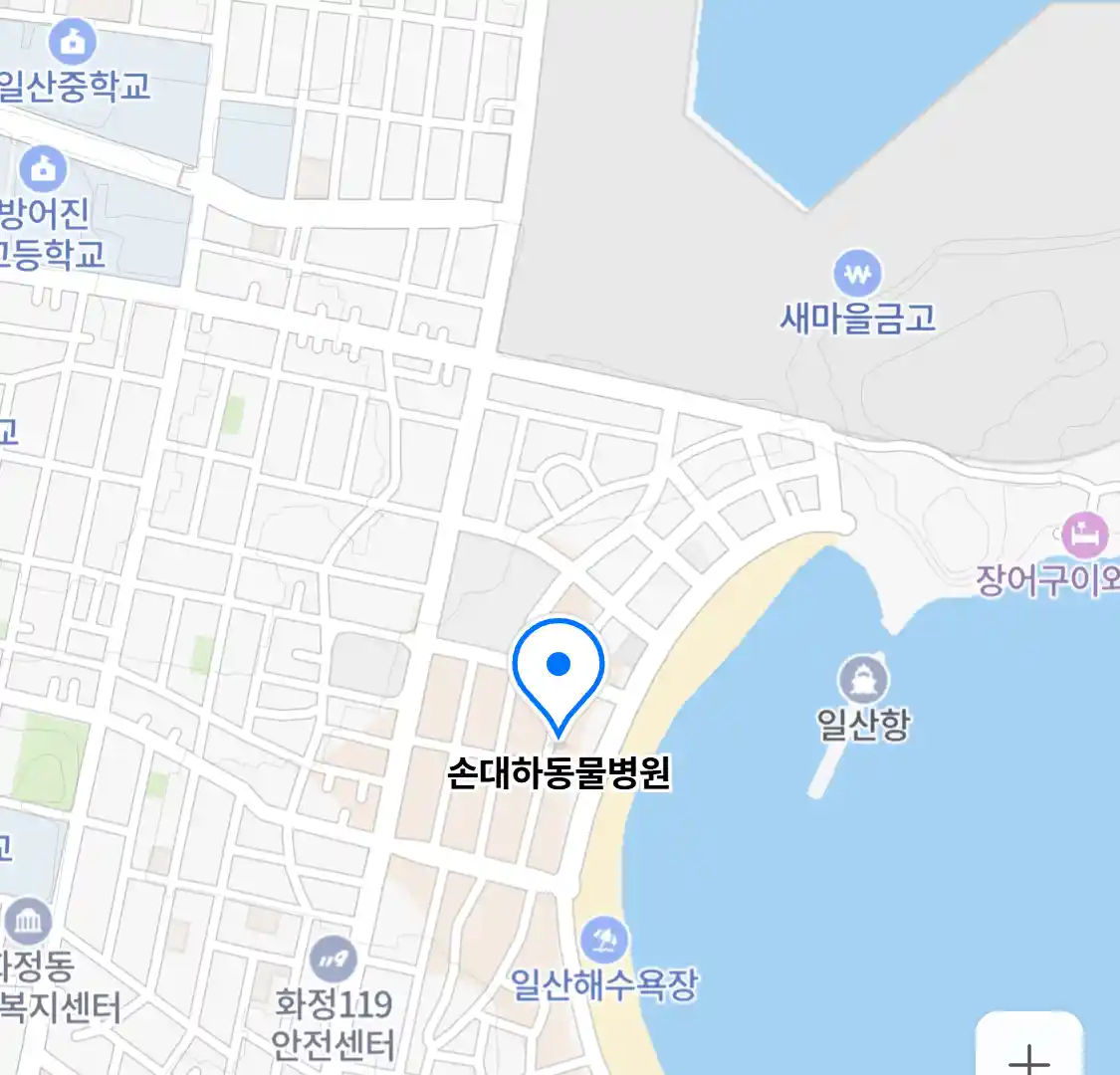 손대하동물병원