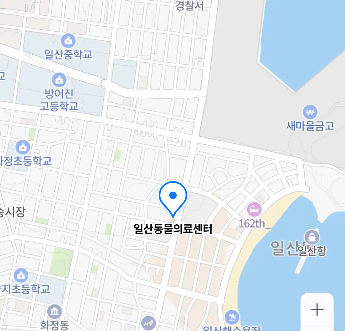 일산동물의료센터