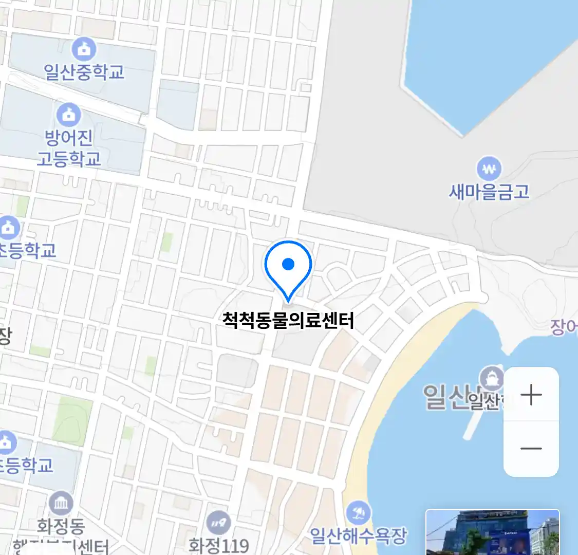 척척동물의료센터