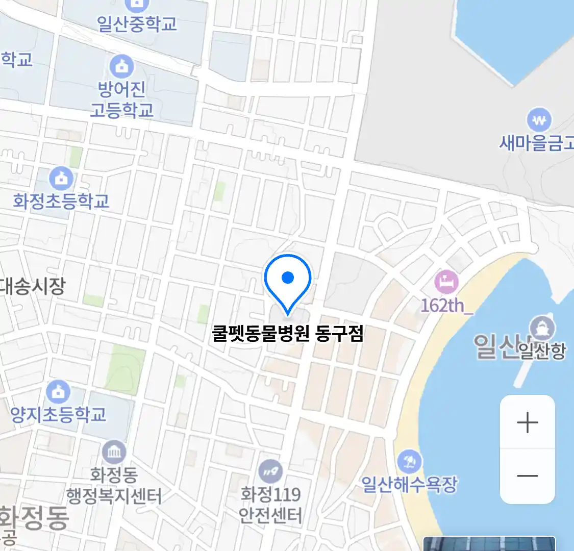 쿨펫동물병원 동구점