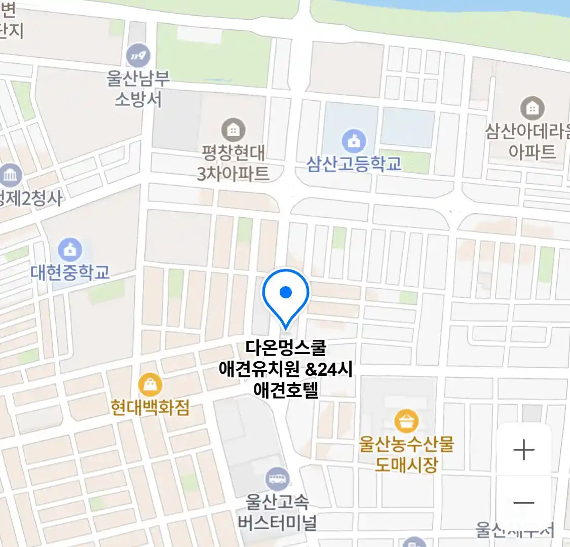 다온멍스쿨 애견유치원 &24시 애견호텔