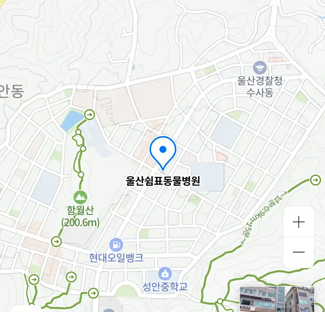 울산쉼표동물병원