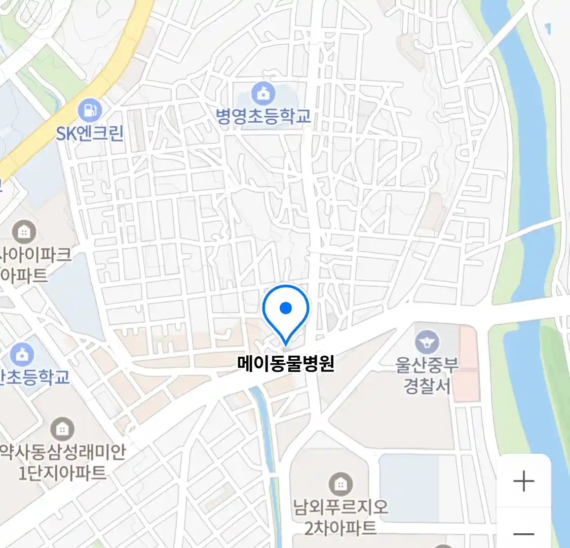 메이동물병원