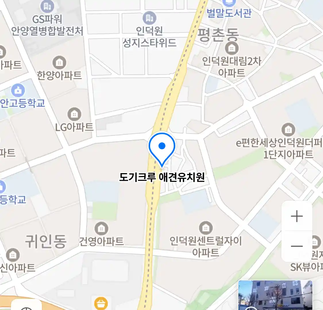 도기크루 애견유치원