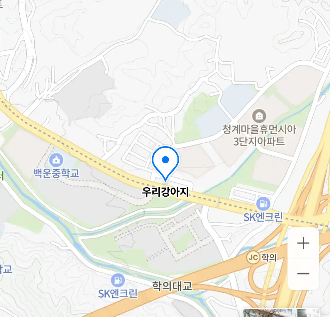 우리강아지