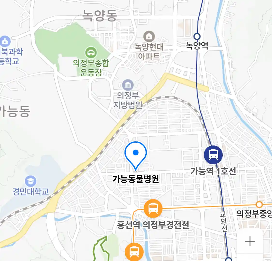 가능동물병원