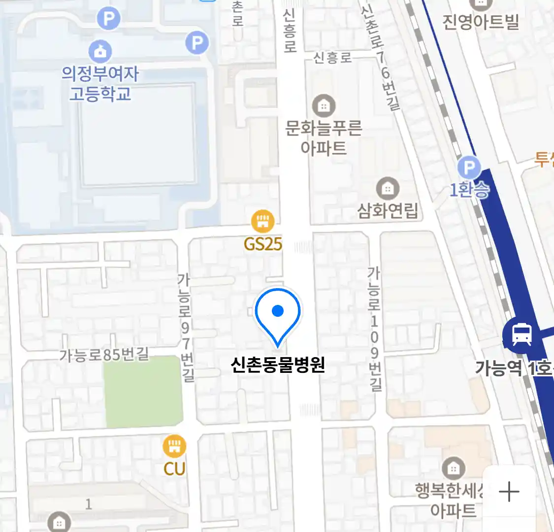 신촌동물병원
