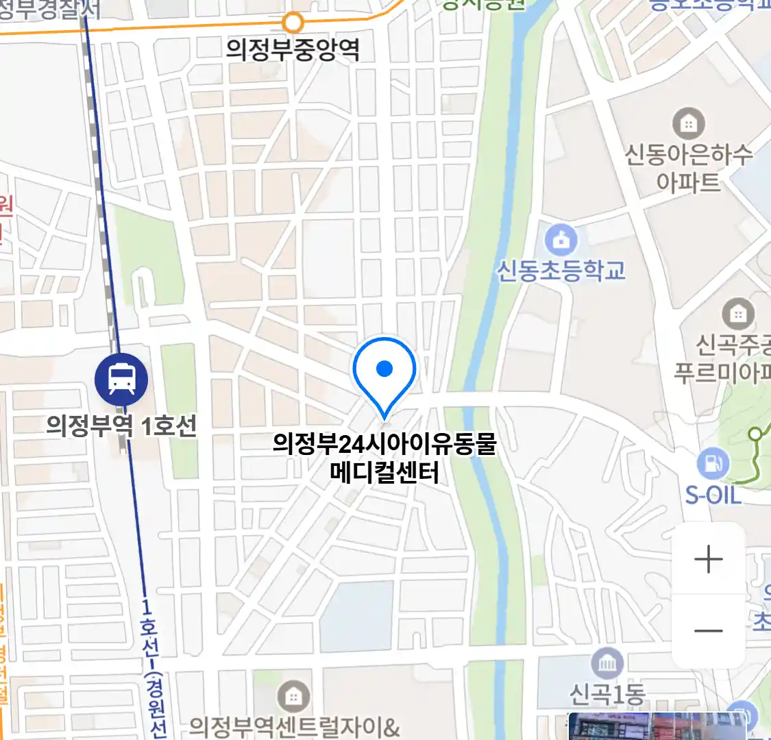의정부24시아이유동물메디컬센터