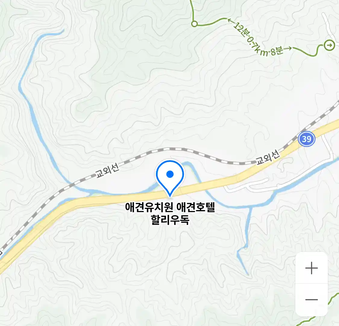 애견유치원 애견호텔 할리우독