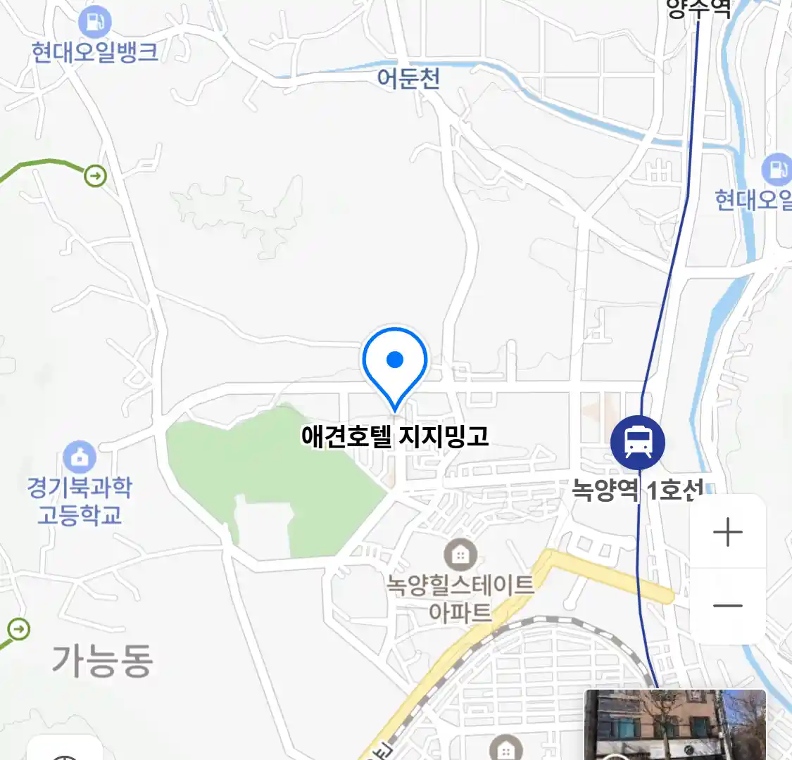 애견호텔 지지밍고