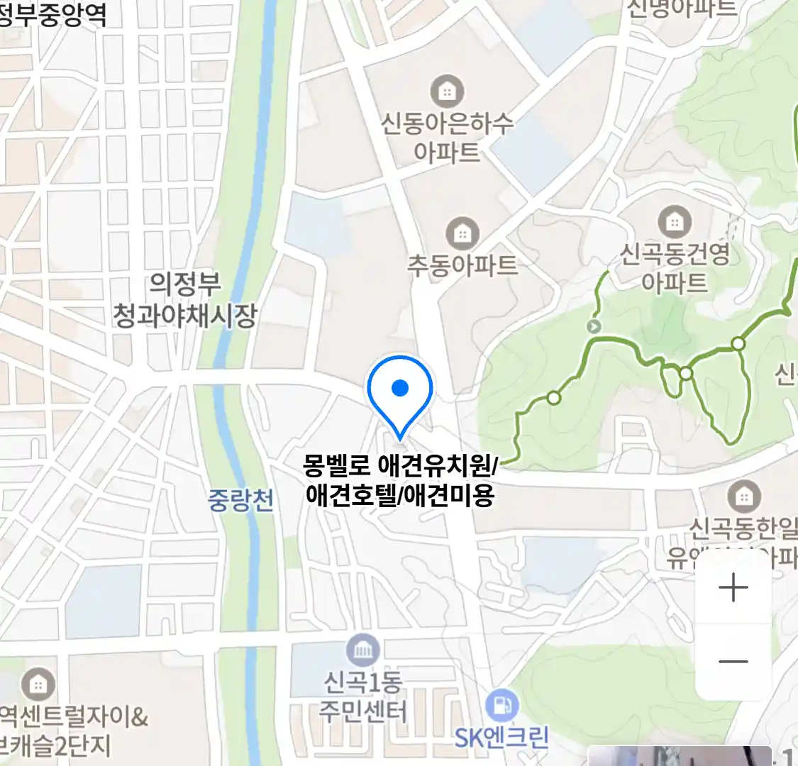 몽벨로 애견유치원/애견호텔/애견미용