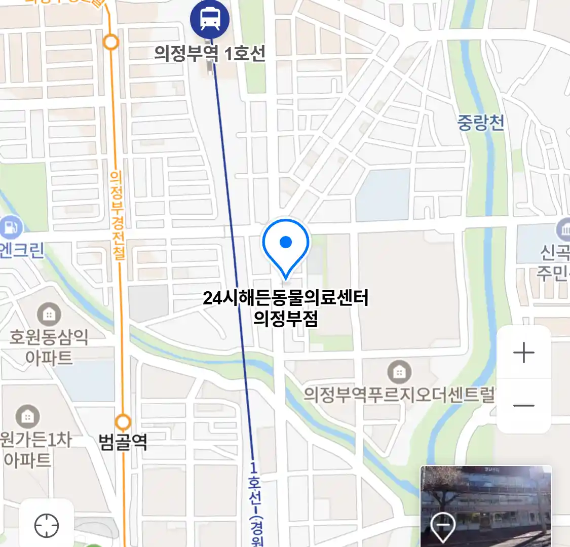 24시해든동물의료센터 의정부점