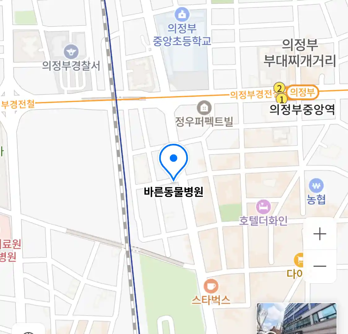 바른동물병원