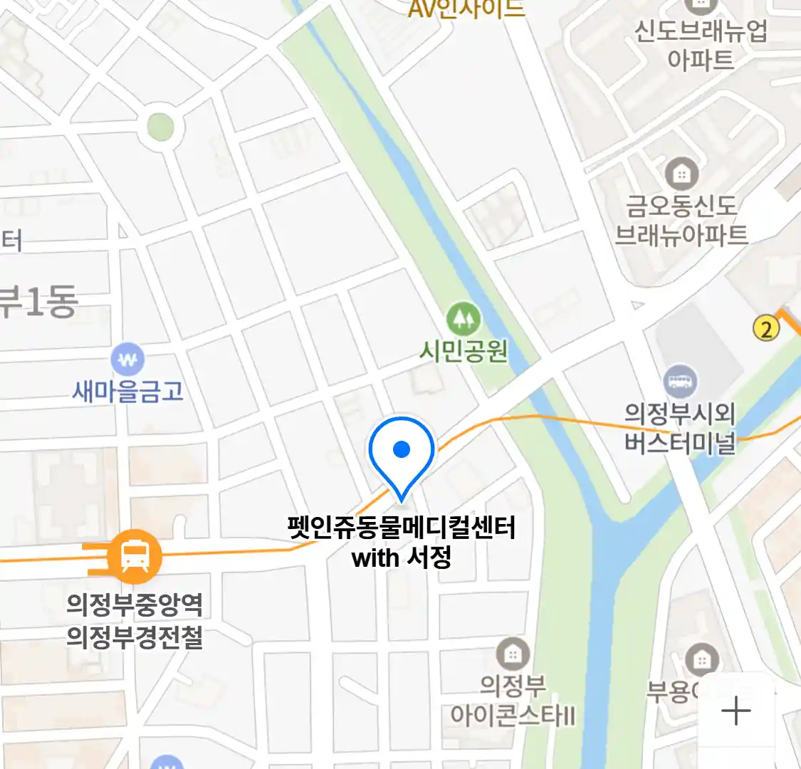 펫인쥬동물메디컬센터 with 서정