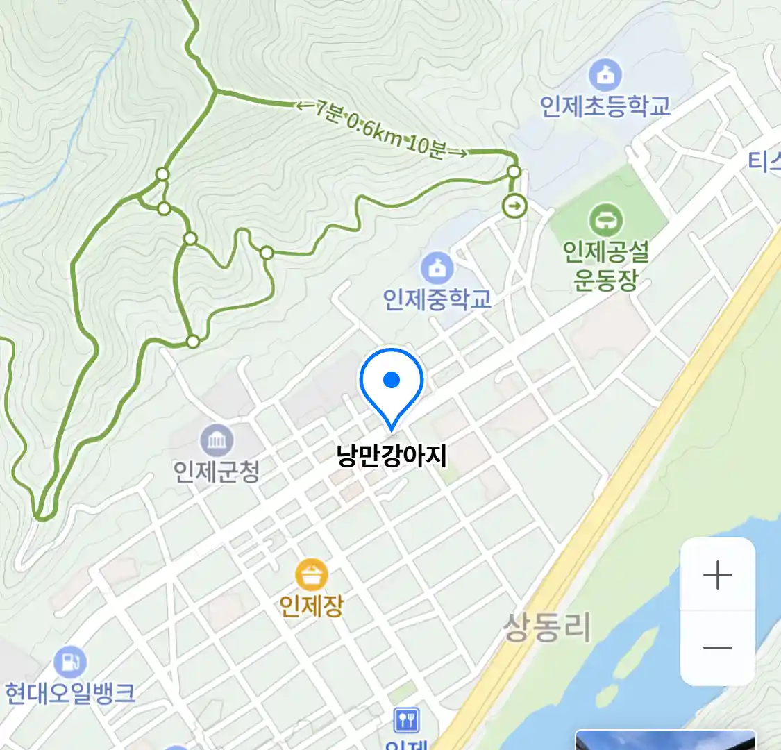 낭만강아지