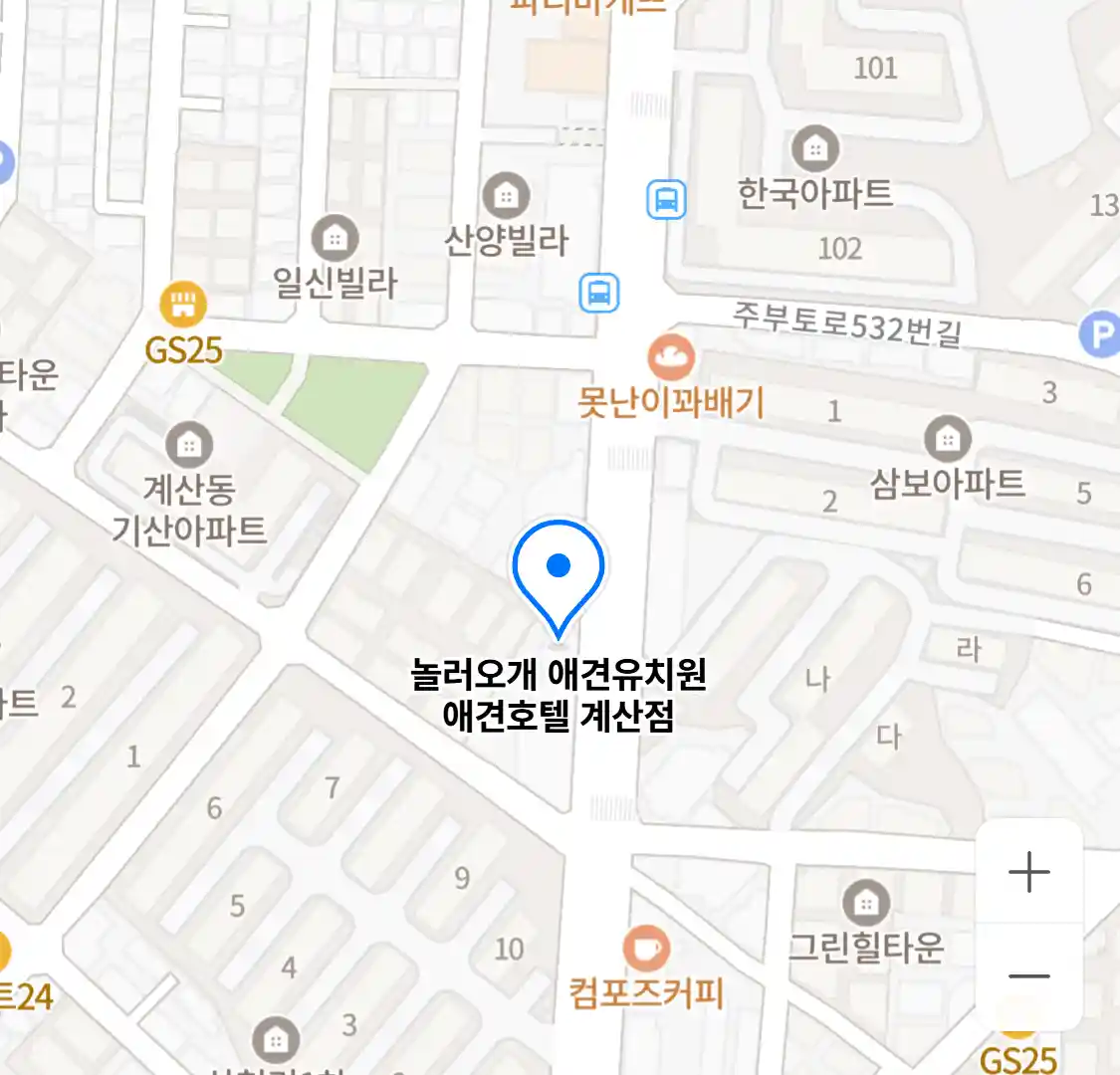 놀러오개 애견유치원 애견호텔 계산점