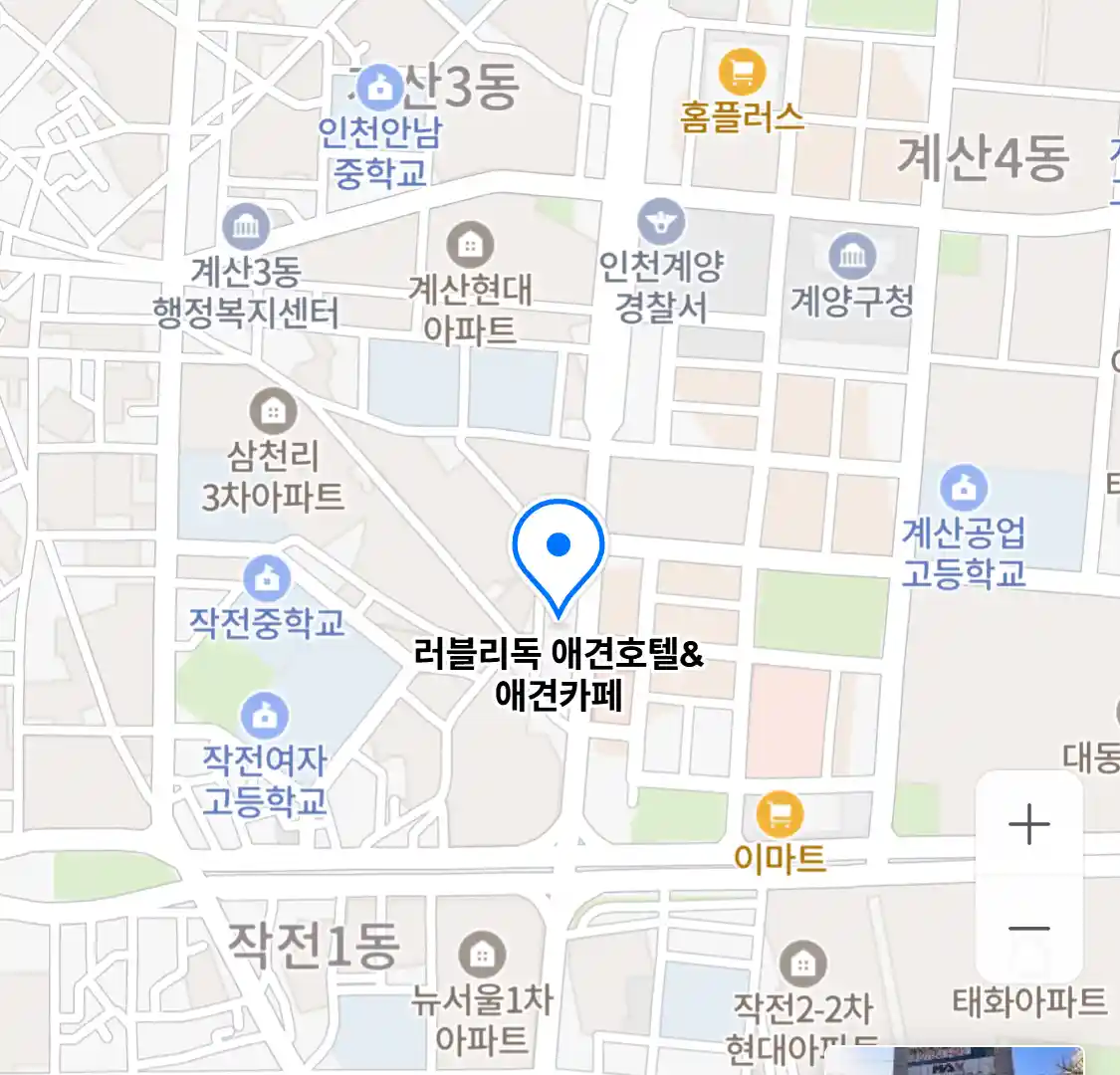 러블리독 애견호텔&애견카페