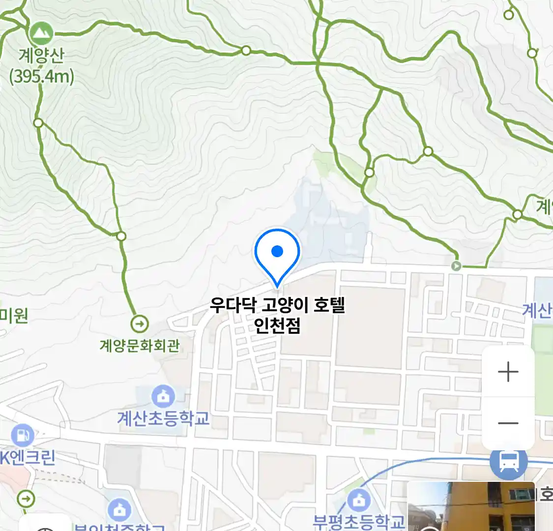 우다닥 고양이 호텔 인천점