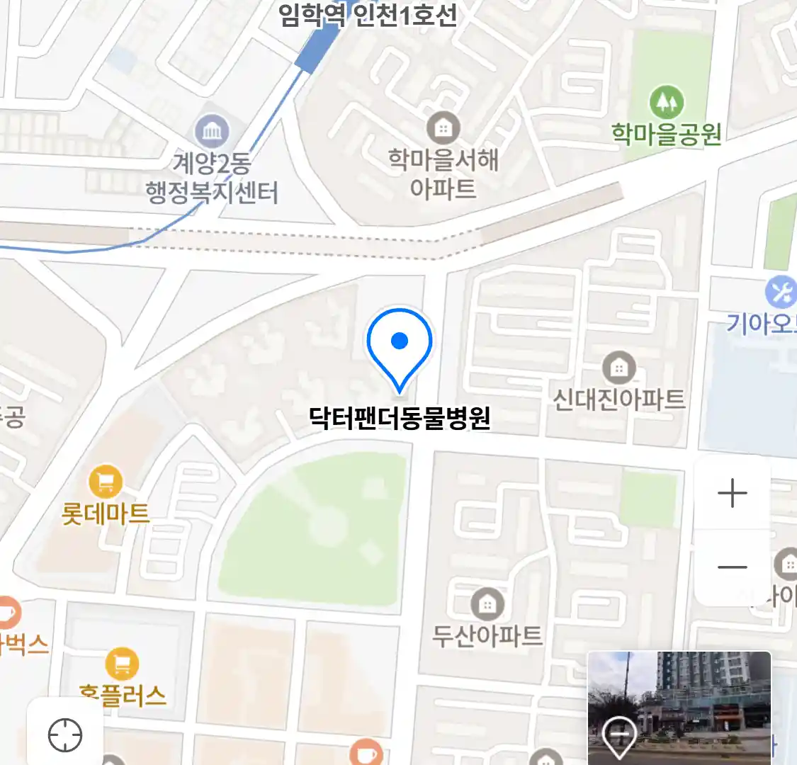닥터팬더동물병원