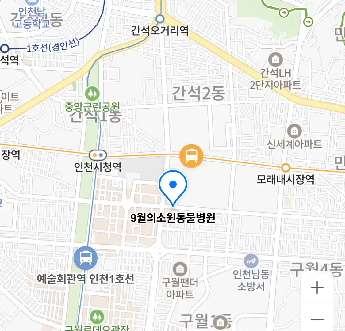 9월의소원동물병원