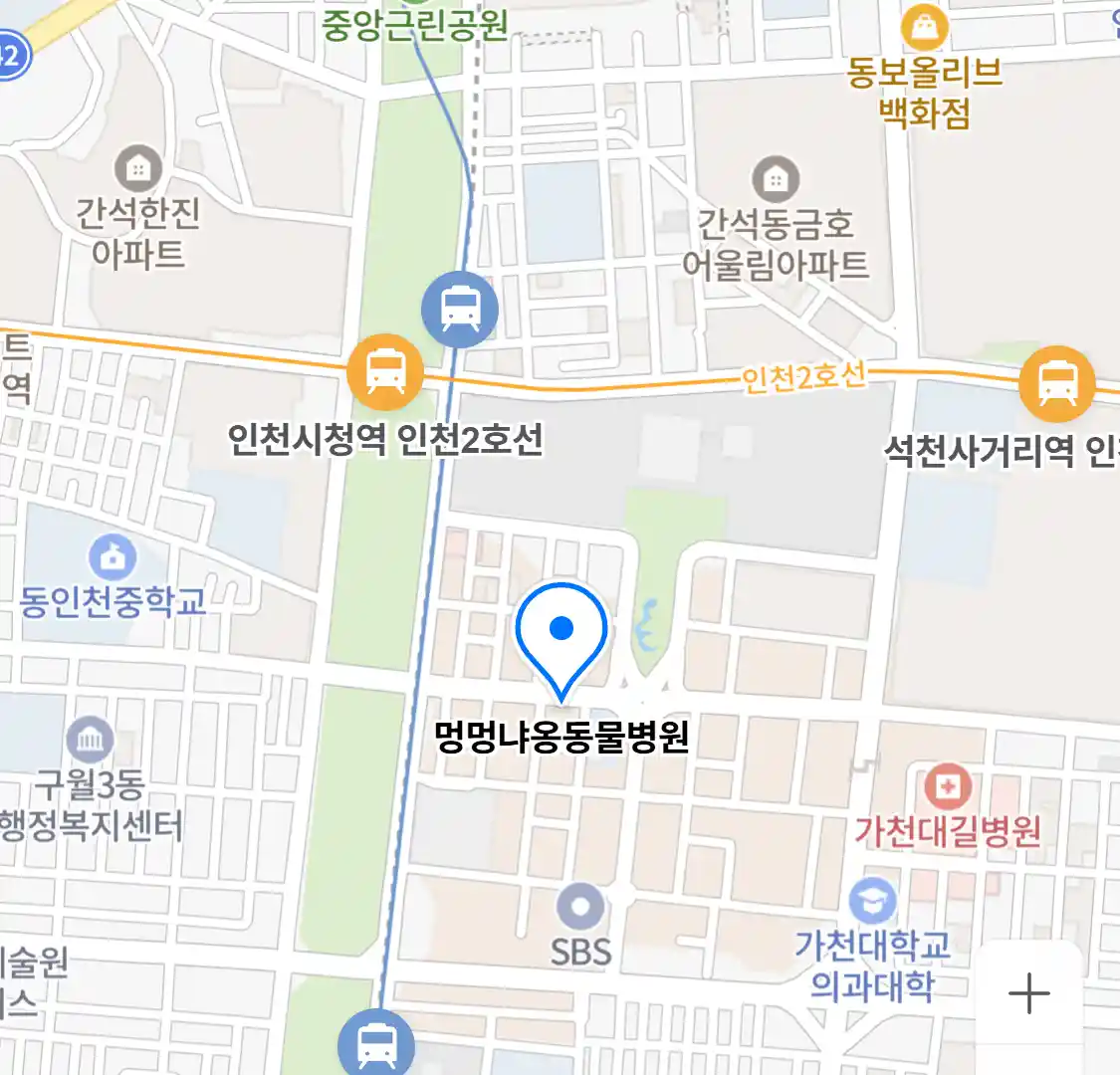 멍멍냐옹동물병원