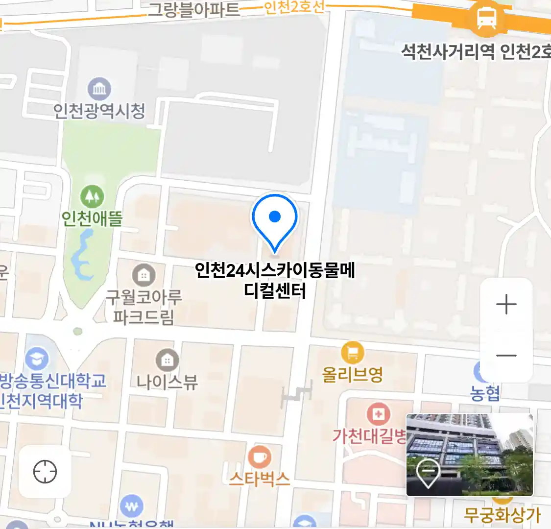 인천24시스카이동물메디컬센터