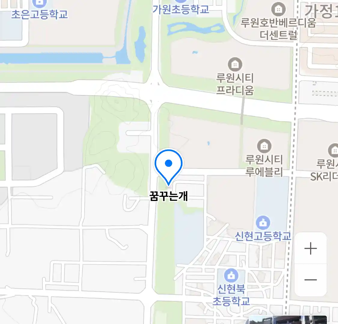 꿈꾸는개