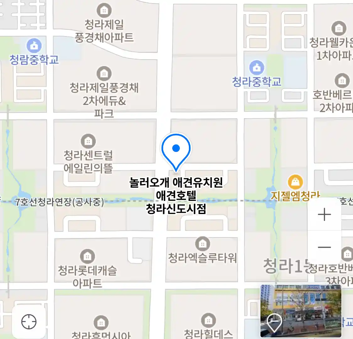 놀러오개 애견유치원 애견호텔 청라신도시점