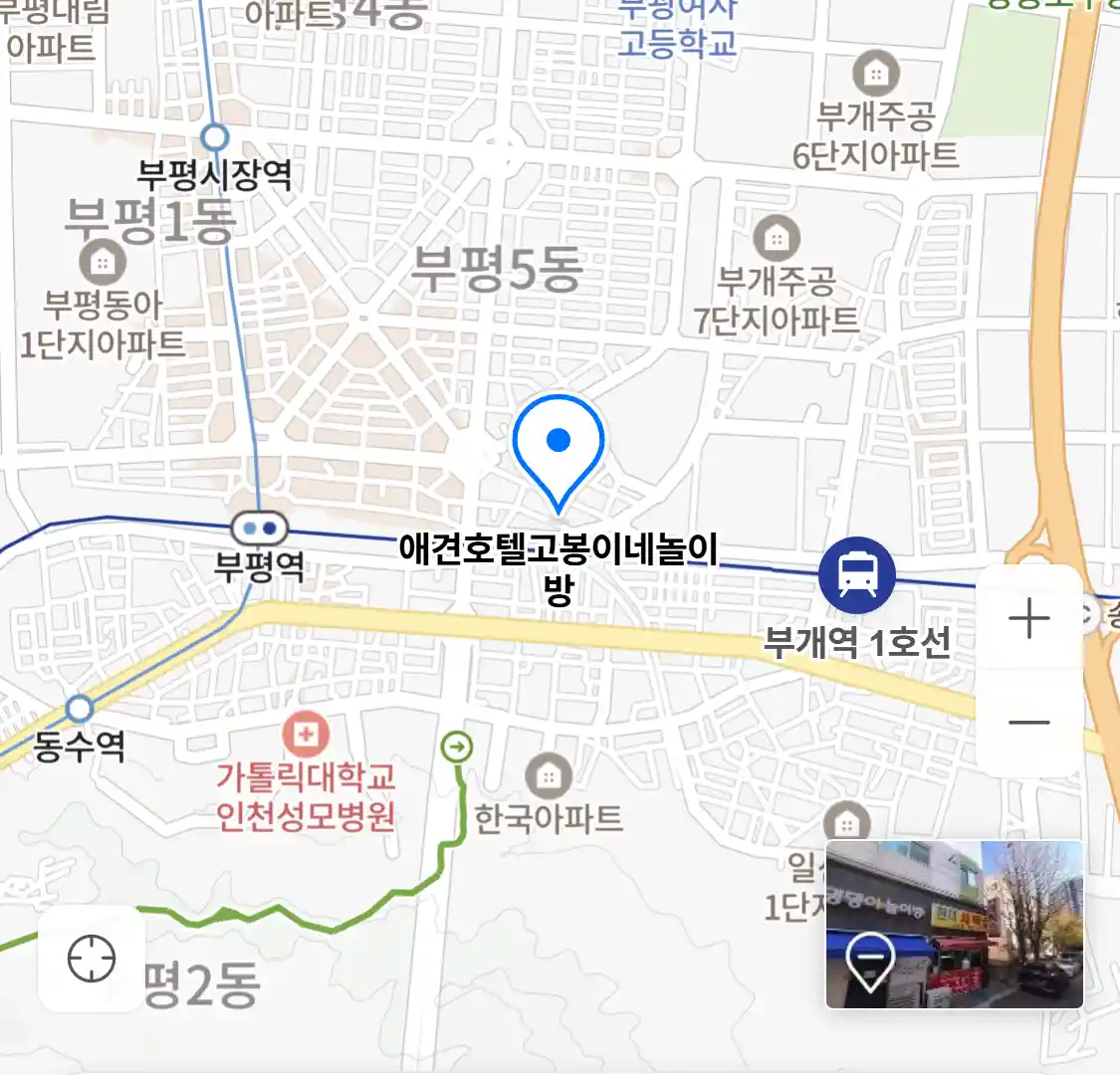 애견호텔고봉이네놀이방