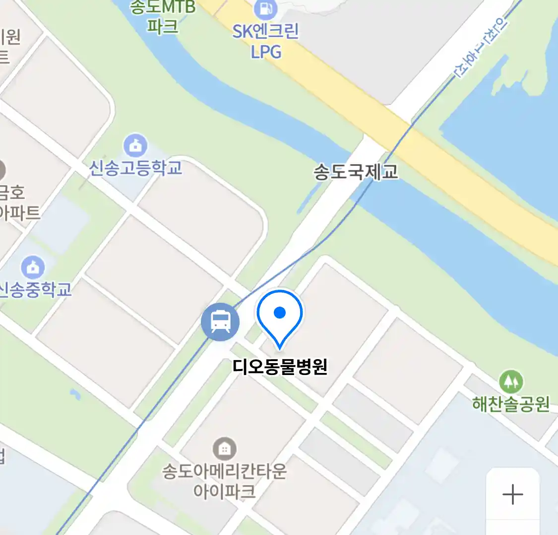 디오동물병원