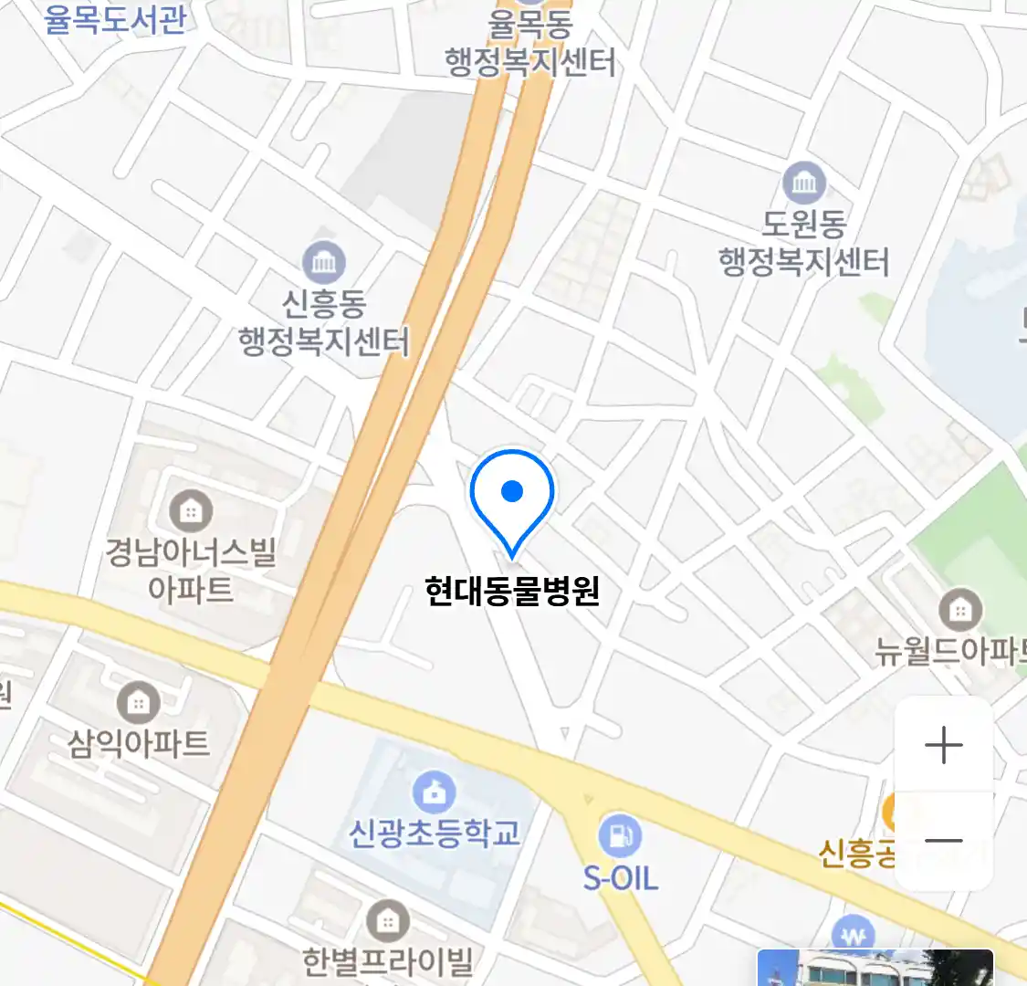 현대동물병원